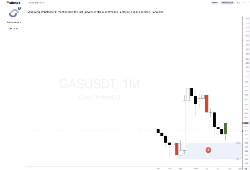 Gas Cryptocurrency analysis 2024