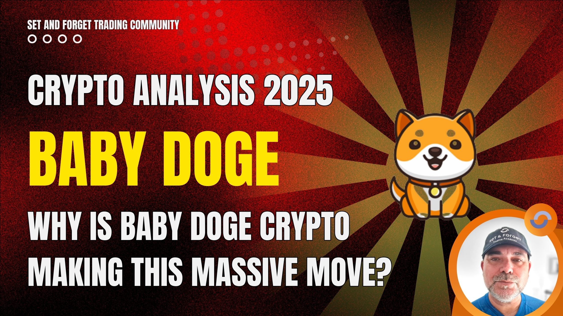 baby doge crypto analysis